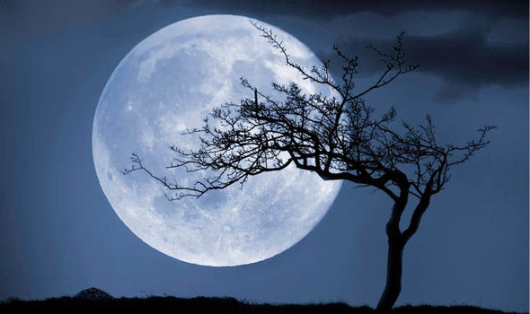 Full-moon-horoscope-today-november-beaver-moon-astrology-zodiac-1049225.jpg